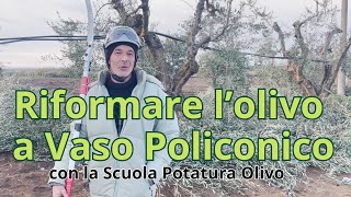 Potatura Drastica? No Riforma A Vaso Policonico, Ragionata E Con Metodo