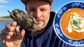 INVASIVE Green Crab Bisque | Catch Clean Cook