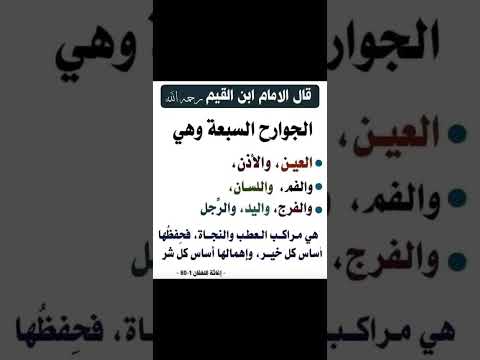 الجوارح السبعة طريق الهلاك أو النجاة