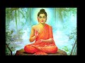 Просветление и сострадание. Притчи про Будду