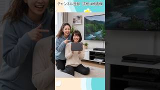 「HD-ADU3」がなぜ大人気？バッファロー外付けHDD徹底解説