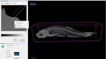 CTVox: Overview, Part 1: Volume rendering, transfer functions and MIP for fast impactful 3D visuals