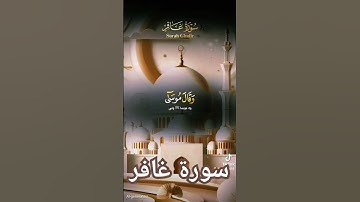 سورة غافر #اكسبلور #quran #دويتو #المصحف #لايك #duet #تيك_توك #العظماء #حالات_واتس #answer #المصحف