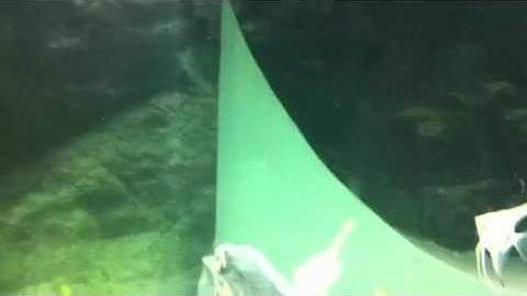 Thần tiên Ai Cập 2