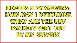 DevOps & SysAdmins: How may I determine what are the udp packets sent out by my server? Net Worth