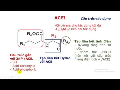 Hóa Dược 2: Thuốc Ức Chế Men Chuyển -Cô Thủy