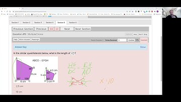 Similar Figures and Proportionality