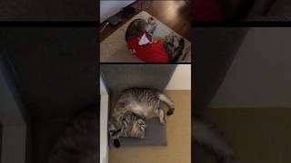 My Name Is Soba. Im A Goalkeeper