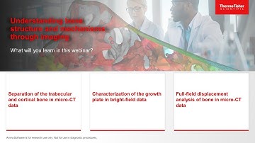 Bone and tissue image analysis and visualization demonstration using Amira Software