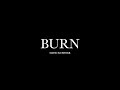 Burn by David Kushner (Lyrics)