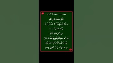سورة الروم - سورة 30 - اية 45-43