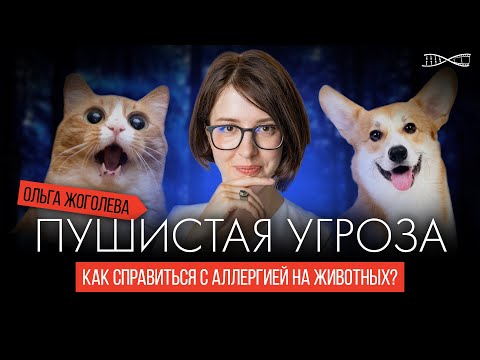 Пушистая угроза: как справиться с аллергией на животных? Лекция Ольги Жоголевой
