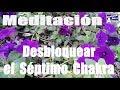 Meditación. Desbloquear el Séptimo Chakra.