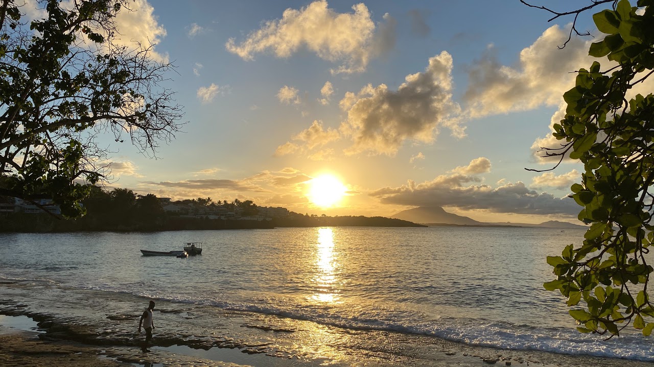 Hot DR Listings UFC 285 Maxime Bernier Live March 8th 7pm