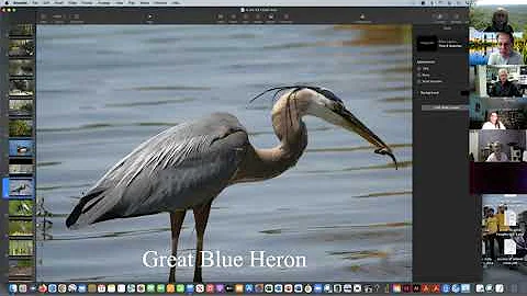 Birds with Greg Harber - Friends of Shades Creek, ...