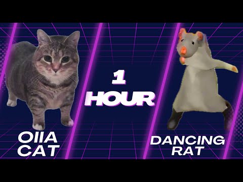 Dancing Rat x