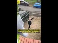 Crazy old lady rages at builders