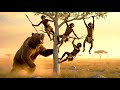 Millions of Years Ago | How Early Humans Struggled to Survive the Harsh Ice Age