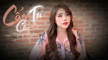 Cẩm Tú Cầu - Rayo x Huỳnh Văn - Ngân Ngân cover