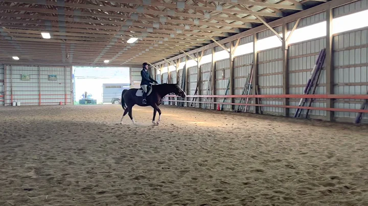 Julie Judd Training Level Test B With Spice it Up