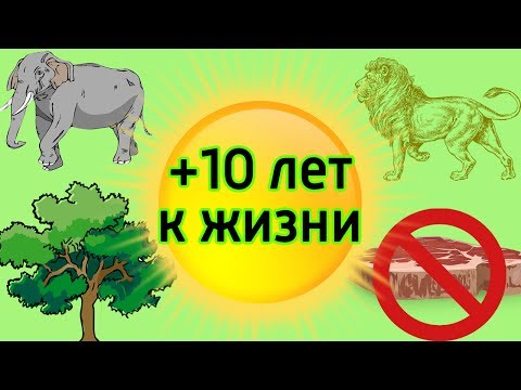 Омоложение с помощью еды и жизнь без болезней Что кушать, чтобы прожить дольше и стареть медленно