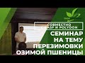 Как выращивать озимую пшеницу с урожайностью более 50 центнеров. Семинар. #басф #полидон