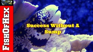 Being Successful Without Having A Sump | Answering Subscriber Questions