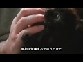 謎の黒子猫 安住の地へ旅立つ