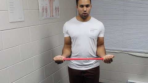 Isometric Shoulder External Rotation w/ Mini band