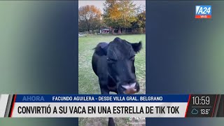 Clota, la 'vaca perro' estrella de Tik Tok I A24