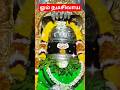 Om Namashivaya | Sivan song #shorts #devotional