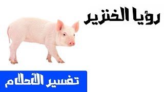 رؤيا الخنزير  - تفسير الأحلام لإبن سيرين