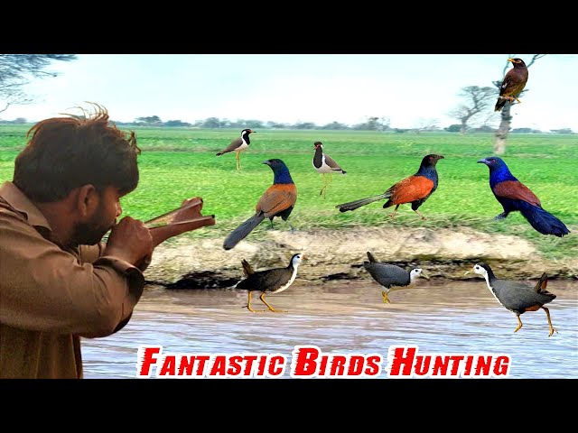 Fantastic Birds Hunting With Handmade Slingshot! class=