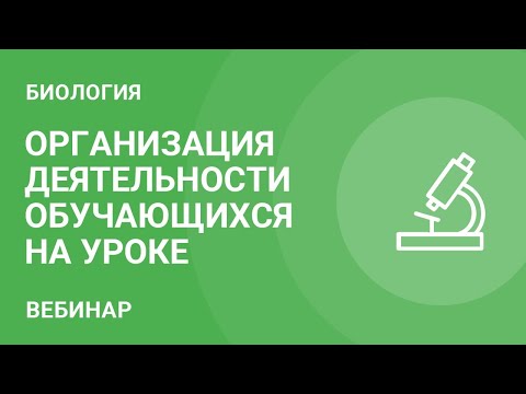 Организация деятельности обучающихся на уроке