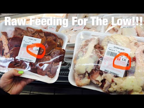 Raw Food Feeding {For the Low}