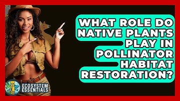 What Role Do Native Plants Play in Pollinator Habitat Restoration? - Ecosystem Essentials
