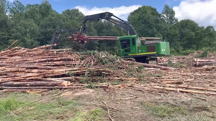 Logging in Y Mississippi