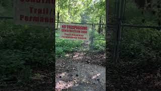 Sharing a walk in the woods in SlowTV.