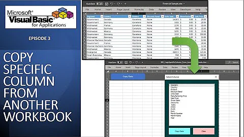 VBA003_Copy Specific Column From Another Workbook using VBA