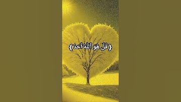 قُلۡ هُوَ ٱللَّهُ أَحَدٌ / سورة الأخلاص #القران_الكريم #ياسر_الدوسري #اكتب_شي_تؤجر_عليه #سورة