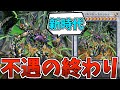 サイコエンドさん、11シンクロの不遇伝説に終止符を打ってしまう『サイコ・エンド・パニッシャー』【遊戯王】【ゆっくり解説】