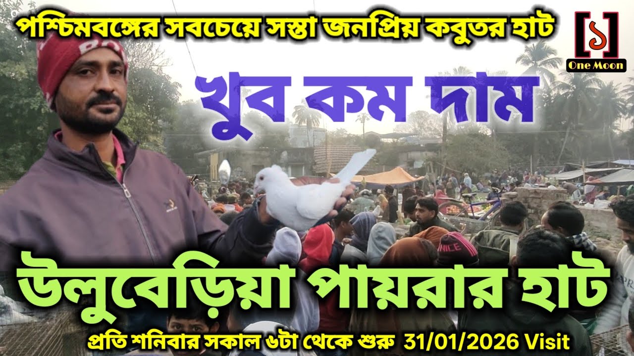 উলুবেড়িয়া পায়রার হাট | Cheapest Pet Market In Kolkata | Uluberia Pigeon Market 31/01/2026 Visit 