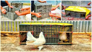 How to make pigeon house || Pigeon house made with plastic cage || how to make pigeon cage at home