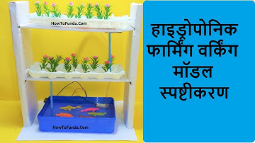 hydroponic farming science project explanation in hindi | howtofunda | aquaponics