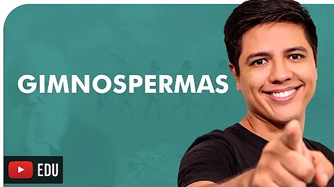 Qual é o gametófito das gimnospermas?