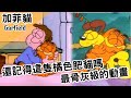 最骨灰級的經典動畫！！還記得這支橘色肥貓嗎！！｜加菲貓 Garfield｜【BMO講童年動畫】