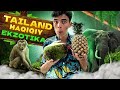 Tailand vlog  phuket   10 kun yashashga nech pul ketadi 