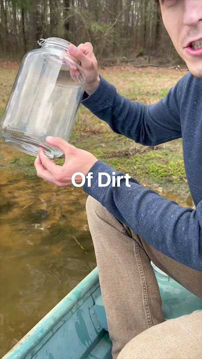Make Your Own Ecosphere