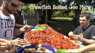 Making Imitation Crab Meat with Goo Fish