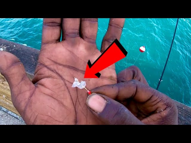 HOW to Catch LIVE BAIT from Piers & Bridges (The SECRET) 